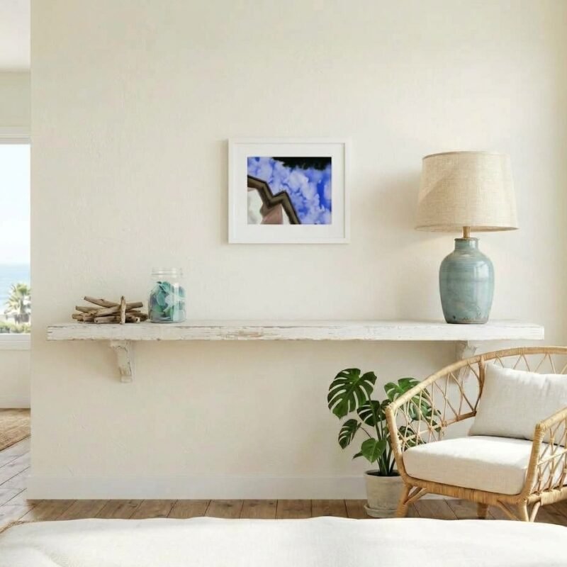 Point Loma Backyard Art Print